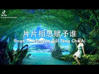 on tnh duyn gi tng cho ai  ( Vietsub & pinyin )