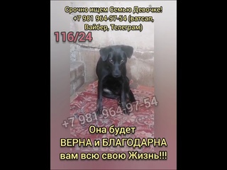 Спасите меня, Люди Её привезли, чтобы лишить Жизни!!!   Испуганная Девочка - привезена На усыпл