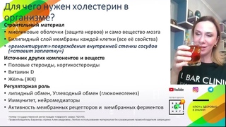 Холестерин: плохой или хороший Почему он важен