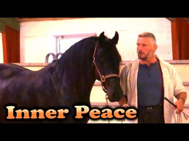 Hempfling First Encounter The Magic of Inner Peace Seminar