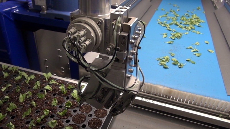 Robotic Sticking Machine at Four