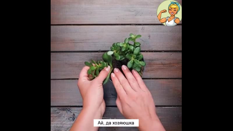 Лайфхаки с