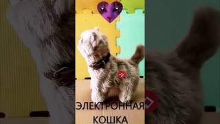 Электронная кошка / Товары с aliexpress #shorts #aliexpressfinds #aliexpressunboxing
