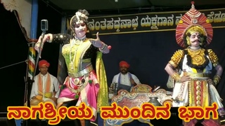 || #yakshagana #perdoormela #natya  -8