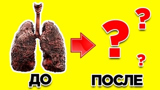 Вот Что Будет Если Резко Бросить Курить (Этапы Восстановление Организма)