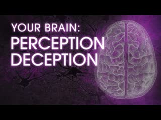 NOVA.S50E09.Your.Brain.Perception.Deception